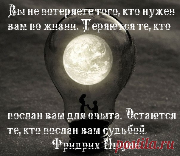 Афоризмы и цитаты 12 часть 12