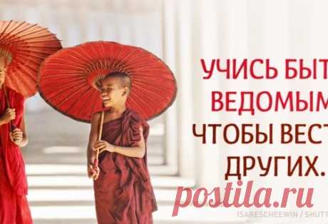 Мудрость побеждать без боя.
