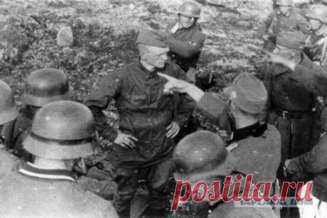 Трагедия обрела реальность! - ЯПлакалъ