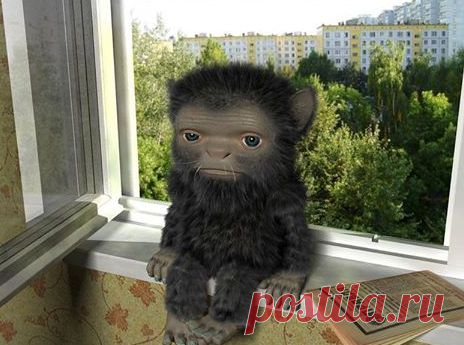 Уржался!!!!! Дневник домового- заряжайся позитивом)))! | KaifZona.Ru