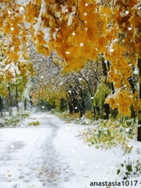 Мой Мир@Mail.Ru
