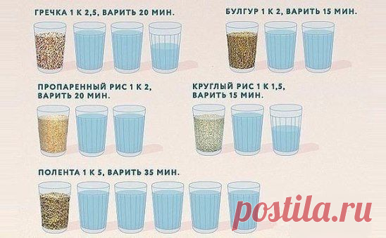 (5) Одноклассники