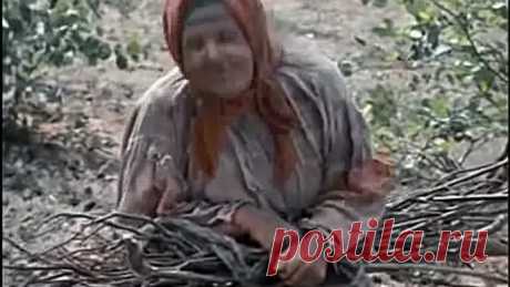 смешная песня о мужьях   https://www.youtube.com/watch?v=8aRKc4ml4nI