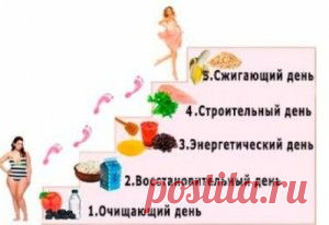 «Лесенка» — это супер-диета! | МОЙ ВОЗРАСТ