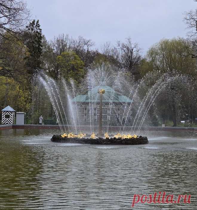 К фонтанам Петергофа — на метеоре (билеты включены) 🧭 цена экскурсии 5850 ₽, 417 отзывов, расписание экскурсий в Санкт-Петербурге
