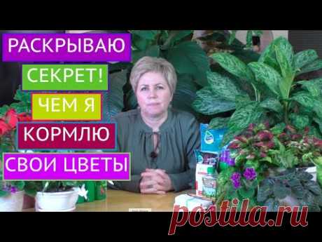 ЛУЧШИЕ ПОДКОРМКИ ДЛЯ ДОМАШНИХ ЦВЕТОВ! ПИТАТЕЛЬНЫЕ КОКТЕЙЛИ НА ЛЮБОЙ КОШЕЛЕК!
