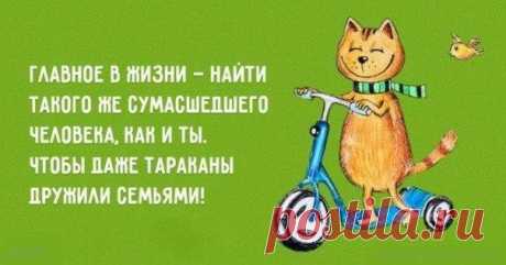 ...поделиться позитивными открытками о счастье