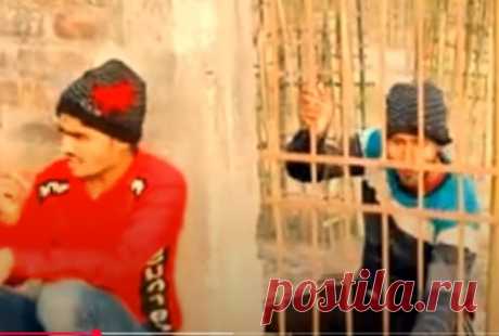 Amazing Funny Video Episode 182 By Our Fun Tv