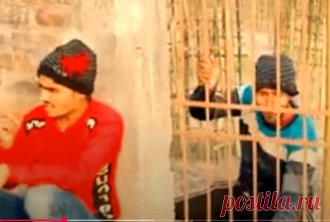 Amazing Funny Video Episode 182 By Our Fun Tv