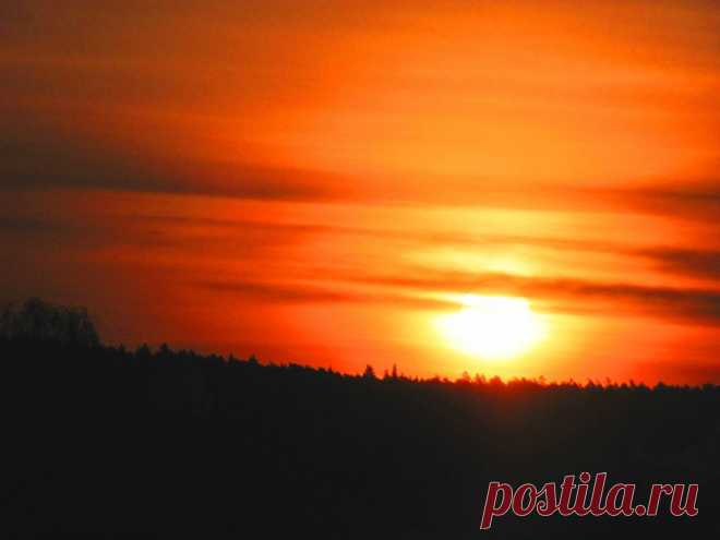 ФОТОМАСТЕРСКАЯ ПРИРОДЫ
Владимир Фефелов