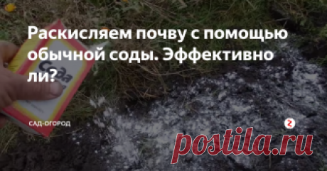 Раскисляем почву с помощью обычной соды. Эффективно ли? Стоит ли экспериментировать с содой или довериться более надежным способам раскисления почвы?