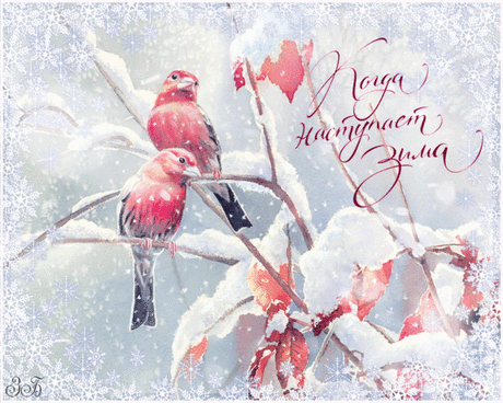 Мой Мир@Mail.Ru