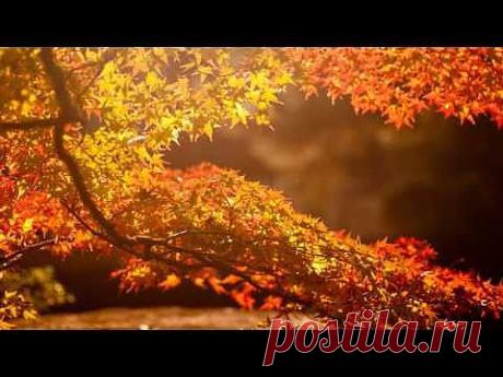 ▶ Моя душа - всего лишь Осень... - YouTube