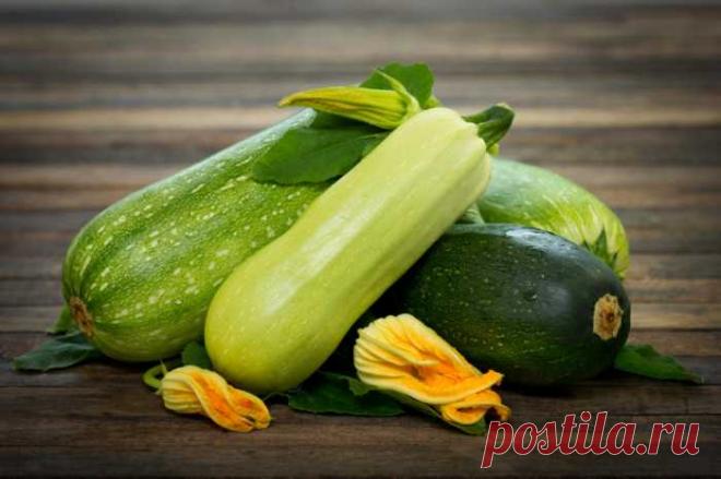 Как заготовить кабачки на зиму — интересные рецепты — Полезные советы