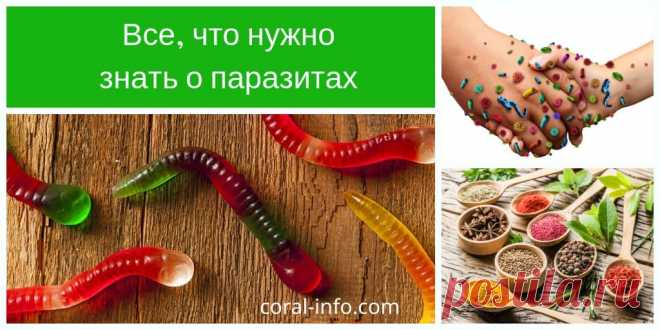 Как паразиты могут попасть в организм человека? И как от них избавиться? Все, что нужно знать о паразитах