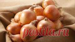Как сохранить лук-репку? | Растения