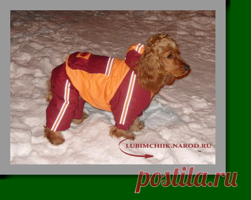Зимний комбинезон