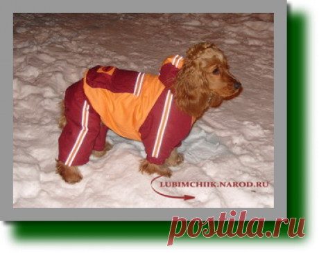 Зимний комбинезон