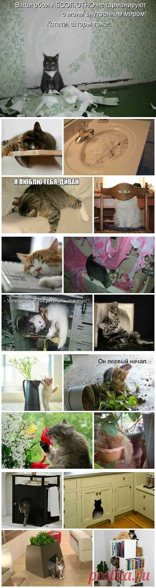 Интерьер для кота и кот в интерьере - 8 правил кошачьего декора