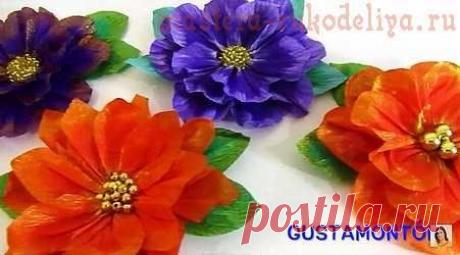Видео мастер-класс: Цветы из гофрированной бумаги