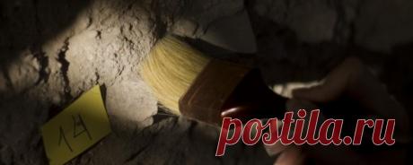 В Подмосковье археологи нашли воинский арсенал времен Ивана Грозного Последние новости сегодня 31.12.2015, Новости сегодня , новости часа сегодня, онлайн новости сегодня