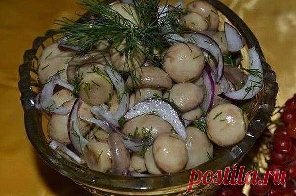 МАЛОСОЛЬНЫЕ ШАМПИНЬОНЫ на скорую руку — мировой рецептик! 

Рецепт
просто сногсшибательный! Все наши гости говорят, что магазинные 
маринованные шампиньоны сидят и нервно курят в углу! Хотите порадовать и
удивить гостей чем-то необычным и вкусным! Вы готовили малосольные 
шампиньоны? Нет?! 
Начну с совета: грибы лучше покупать мелкие, т.к. 
они будут аппетитнее смотреться в блюде! Крупные грибы рекомендуется 
разрезать на 2-3 части по вертикали, чтобы на срезе была форма г...
