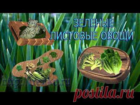 Обезболивающий рацион питания | ЗДОРОВЫЙ ОБРАЗ