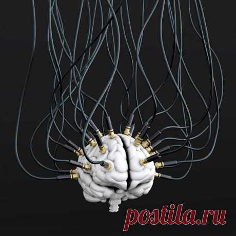 (10) 5 отличных способов промыть вам мозги независимо от того, насколько вы умны - ПолонСил.ру - социальная сеть здоровья - 4 июля - 43809125795 - Медиаплатформа МирТесен Просто оглянитесь вокруг, и вы увидите, что в мире полно людей с промытыми мозгами, которые делают нечто странное или даже нечто убийственное. Фактрум объясняет, как работает зомби-фабрика. 1. Идеи не имеют значения — людей волнует лишь то, что «работает» Наверное, большинство читающих это думают, - 4 июл...