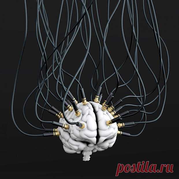 (10) 5 отличных способов промыть вам мозги независимо от того, насколько вы умны - ПолонСил.ру - социальная сеть здоровья - 4 июля - 43809125795 - Медиаплатформа МирТесен Просто оглянитесь вокруг, и вы увидите, что в мире полно людей с промытыми мозгами, которые делают нечто странное или даже нечто убийственное. Фактрум объясняет, как работает зомби-фабрика. 1. Идеи не имеют значения — людей волнует лишь то, что «работает» Наверное, большинство читающих это думают, - 4 июл...