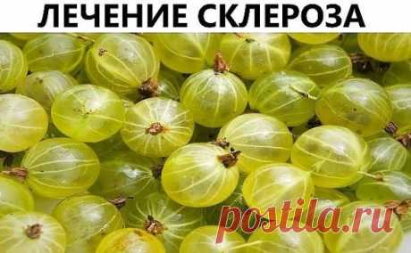 ЛЕЧЕНИЕ СКЛЕРОЗА: