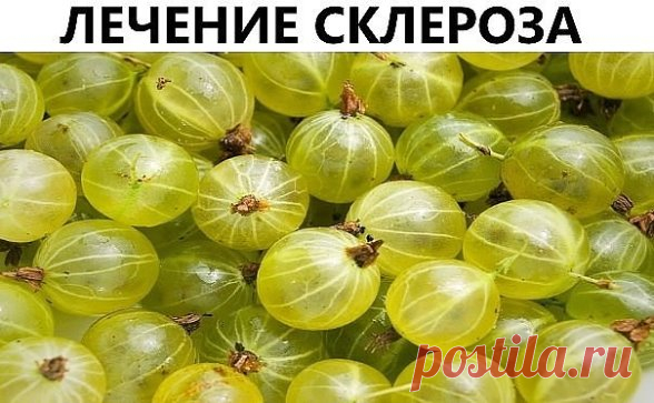 ЛЕЧЕНИЕ СКЛЕРОЗА: