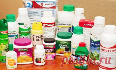 Друзья, хотим посоветовать вам отличный интернет-магазин удобрений и препаратов для растений "Plantika24" 

В нем представлены только самые качественные препараты, но, что самое главное, их можно приобрести по доступным ценам благодаря мелкой фасовке. 

А еще, вам всегда помогут подобрать подходящий препарат и обязательно подарят подарок  

Обращайтесь  https://vk.com/plantika24