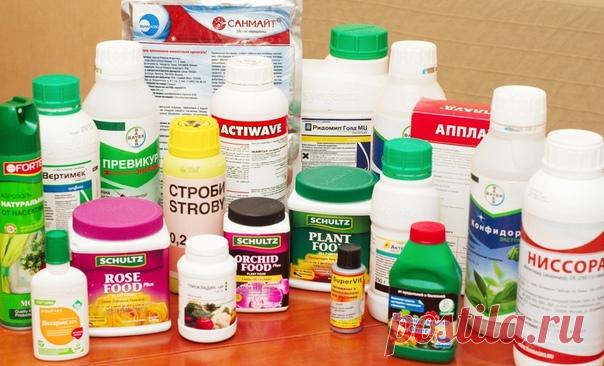 Друзья, хотим посоветовать вам отличный интернет-магазин удобрений и препаратов для растений 