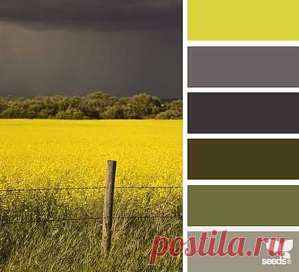 Design Seeds® | find your palette