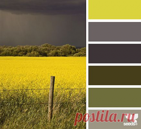 Design Seeds® | find your palette