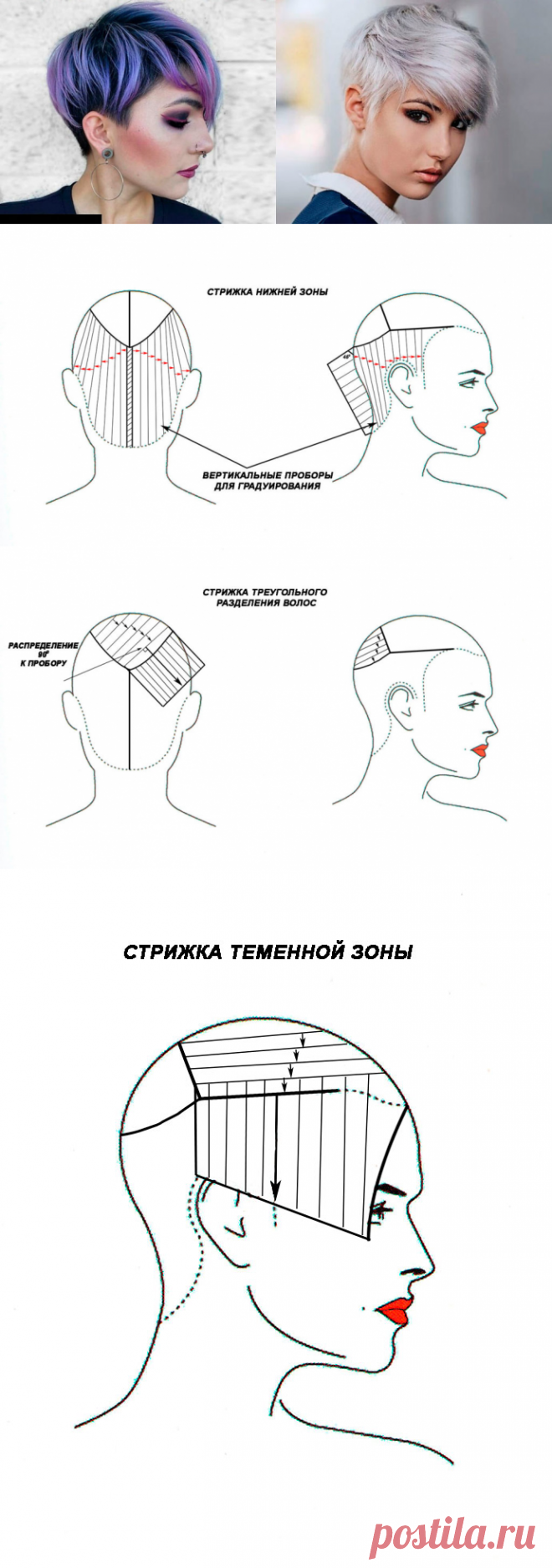 Женская стрижка пикси на короткие волосы с челкой. Технология. Классический вариант.