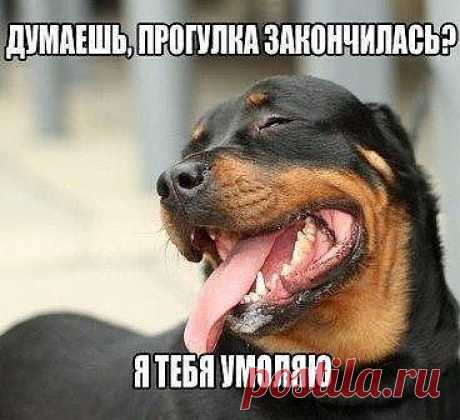 прогулка ещё не окончена.....