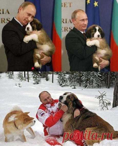 Новости