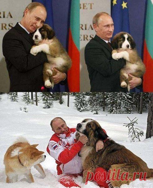 Новости