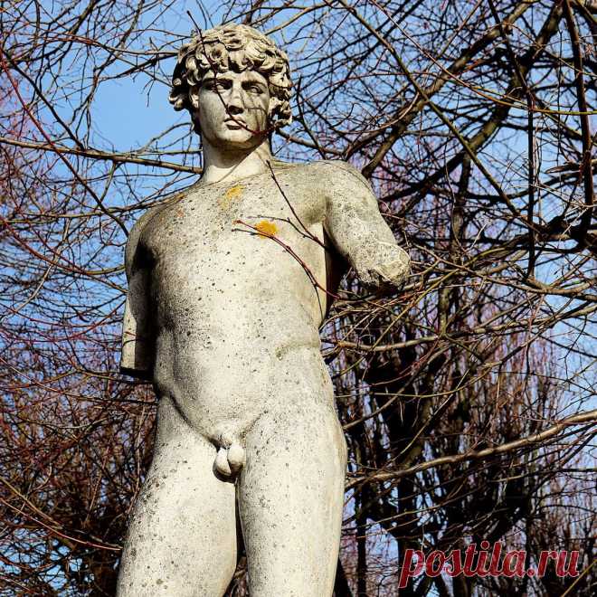 Антиной Фарнезский

Скульптура на заказ в Санкт-Петербурге
https://www.instagram.com/sculptury_na_zakaz/
https://vk.com/sculpture_na_zakaz_spb
https://opt-russia.ru/katalog-sculptur-spb/

#скульптура #антиной #статуя #sculpture #скульптуры #статуи #скульптор #statue