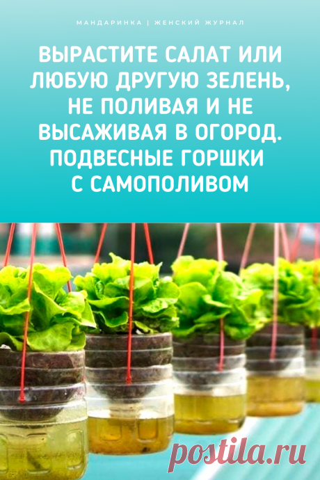 Вырастите сала или любую другую зелень, не поливая и не высаживая в огород. Подвесные горшки с самополивом