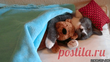 Google+