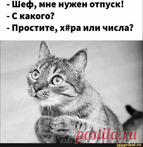 юмор
