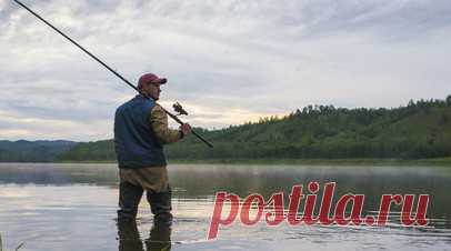 Житель Салехарда стал фигурантом уголовного дела из-за незаконного вылова 222 рыб. Житель Салехарда стал фигурантом уголовного дела из-за незаконного вылова 222 рыб. Об этом информирует URA.RU со ссылкой на управление на транспорте МВД России по УрФО. Читать далее