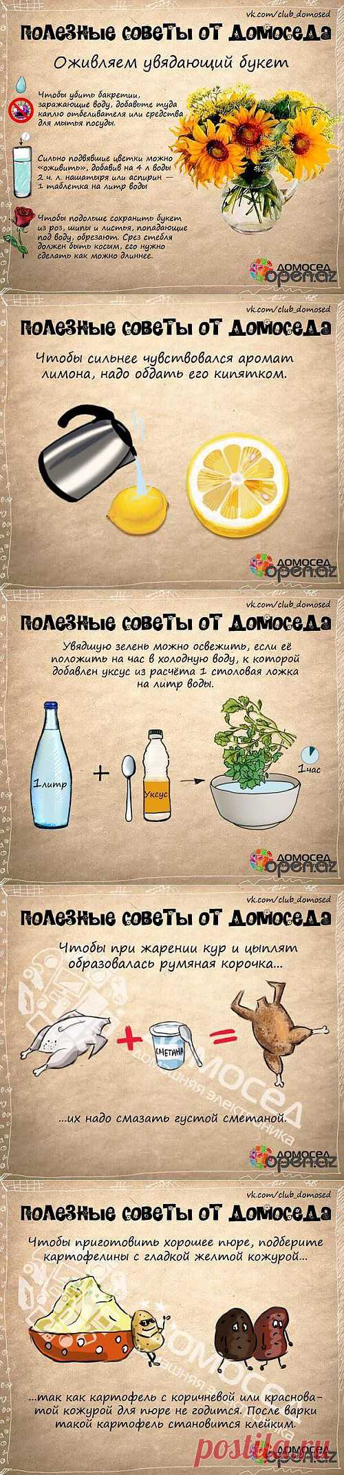 Советы на каждый день | КРАСОТА И ЗДОРОВЬЕ