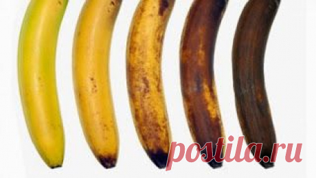 Мульча из бананов и бананы против тли