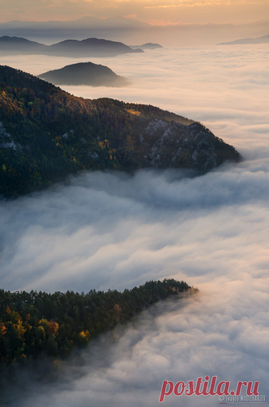 (1) Tumblr