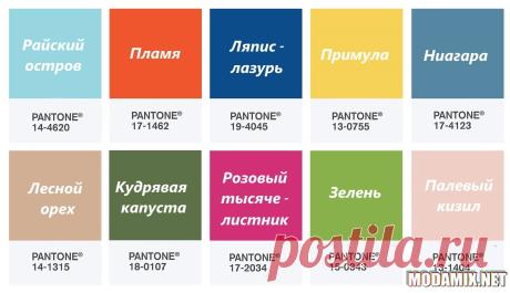 Кошкин Дом. Стоковая пряжа. Вязание