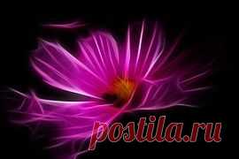 Найдено на сайте pixabay.com.