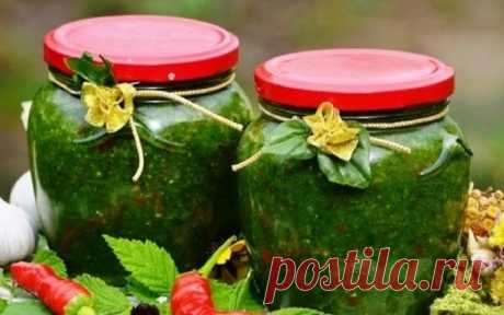 Аджика из петрушки Аджика из петрушки: ингредиенты, пошаговый рецепт с фото, практические советы по приготовлению. Калорийность блюда и БЖУ.